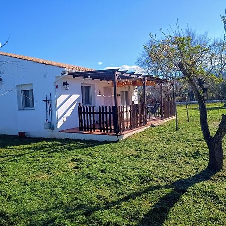 Casa De Campo Los Manueles Ideal Perros Pet Friendly Gójar Kültér fotó