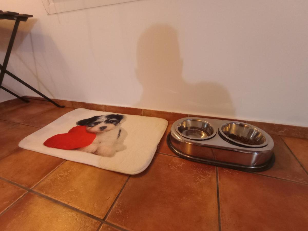 Casa De Campo Los Manueles Ideal Perros Pet Friendly Gójar Kültér fotó