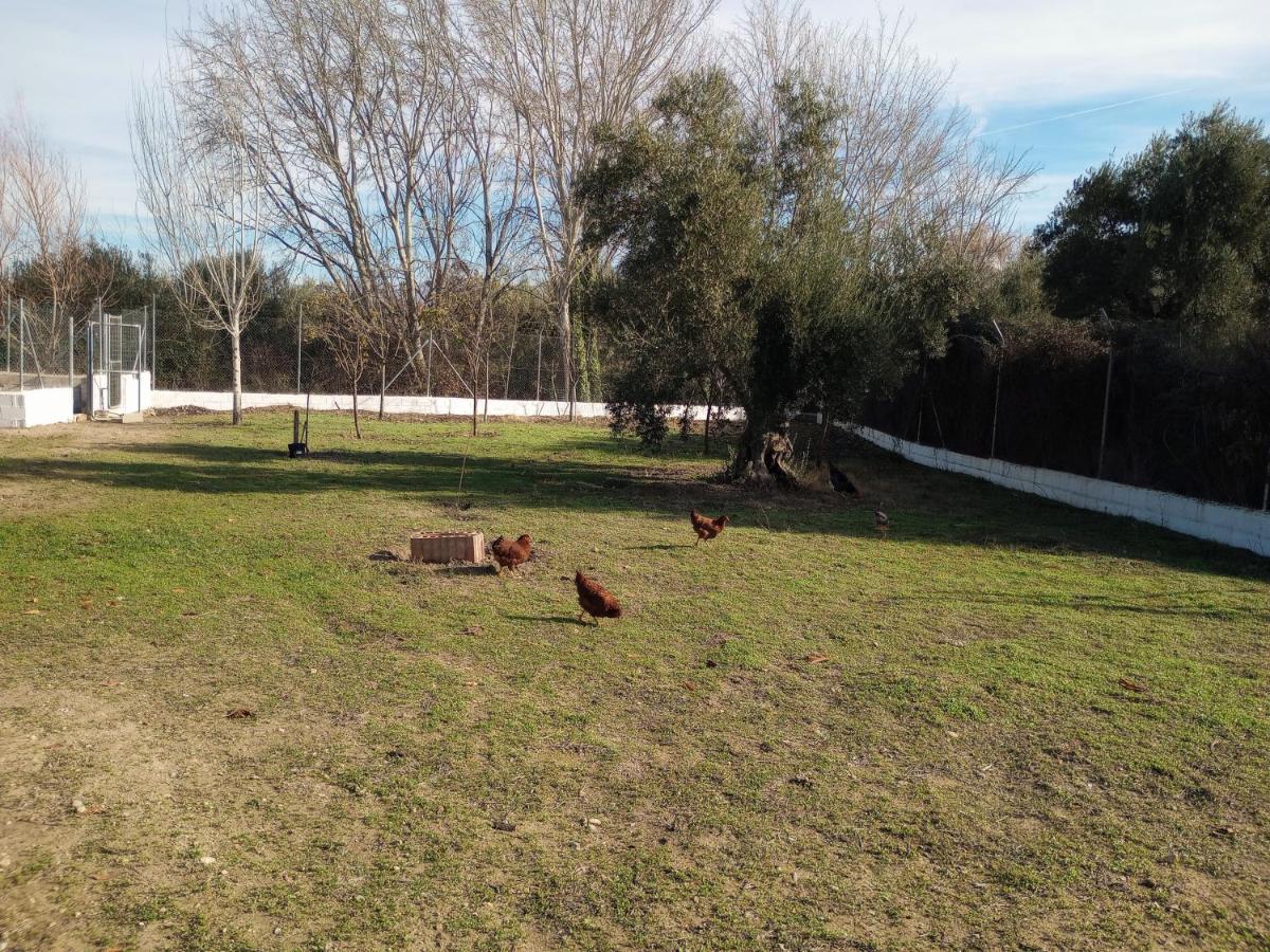Casa De Campo Los Manueles Ideal Perros Pet Friendly Gójar Kültér fotó