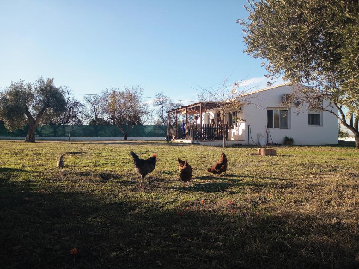 Casa De Campo Los Manueles Ideal Perros Pet Friendly Gójar Kültér fotó