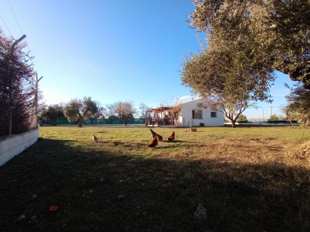 Casa De Campo Los Manueles Ideal Perros Pet Friendly Gójar Kültér fotó