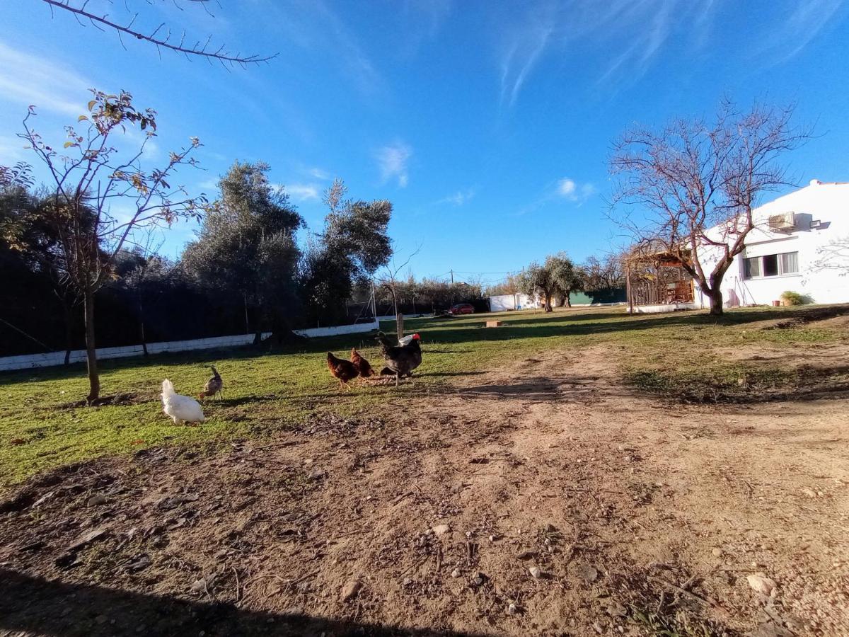 Casa De Campo Los Manueles Ideal Perros Pet Friendly Gójar Kültér fotó