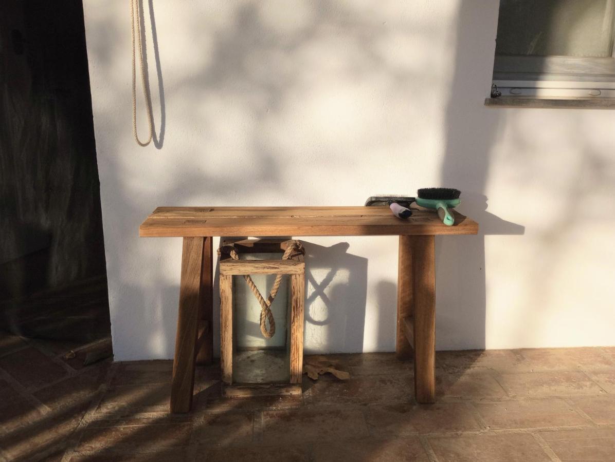 Casa De Campo Los Manueles Ideal Perros Pet Friendly Gójar Kültér fotó