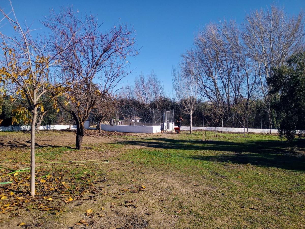 Casa De Campo Los Manueles Ideal Perros Pet Friendly Gójar Kültér fotó