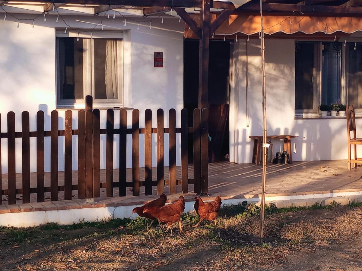 Casa De Campo Los Manueles Ideal Perros Pet Friendly Gójar Kültér fotó