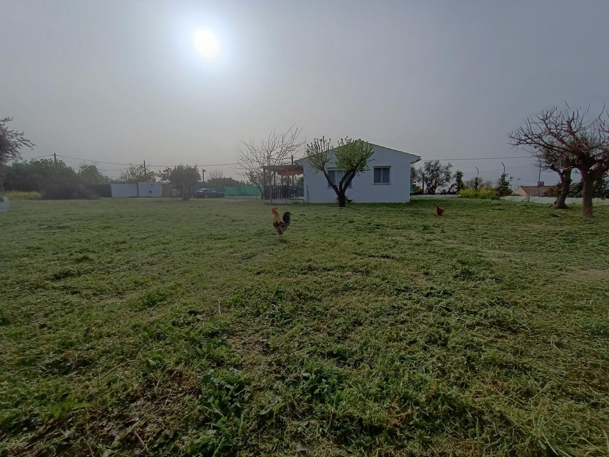 Casa De Campo Los Manueles Ideal Perros Pet Friendly Gójar Kültér fotó