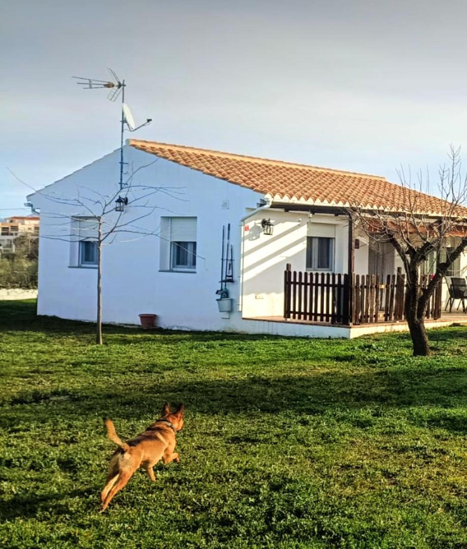 Casa De Campo Los Manueles Ideal Perros Pet Friendly Gójar Kültér fotó