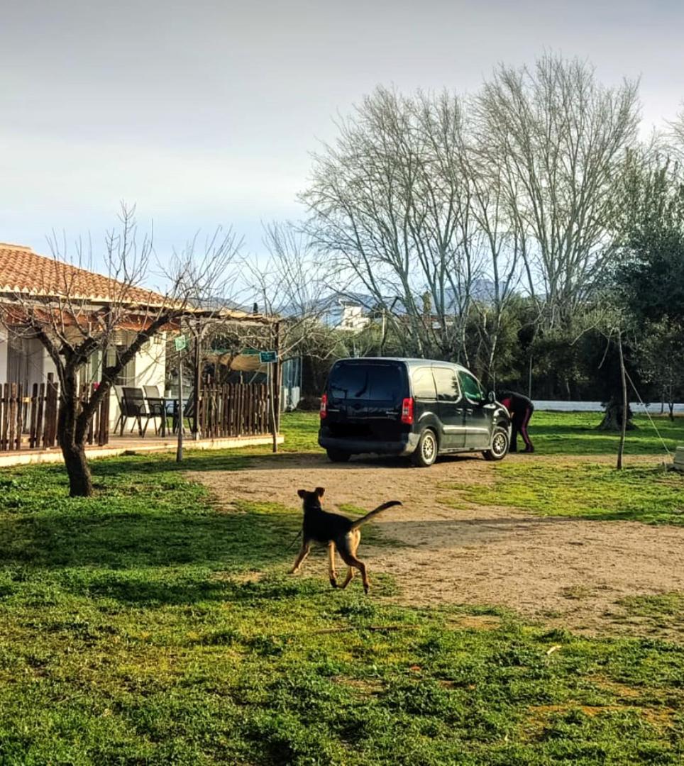 Casa De Campo Los Manueles Ideal Perros Pet Friendly Gójar Kültér fotó