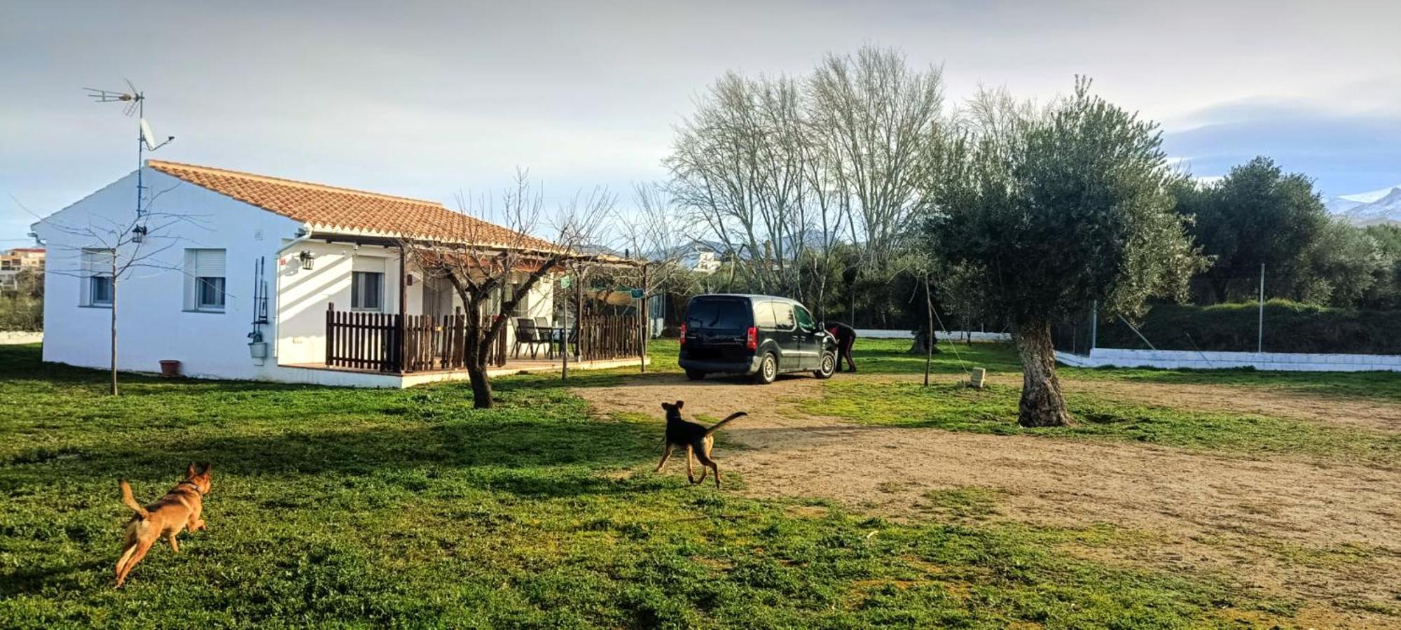 Casa De Campo Los Manueles Ideal Perros Pet Friendly Gójar Kültér fotó