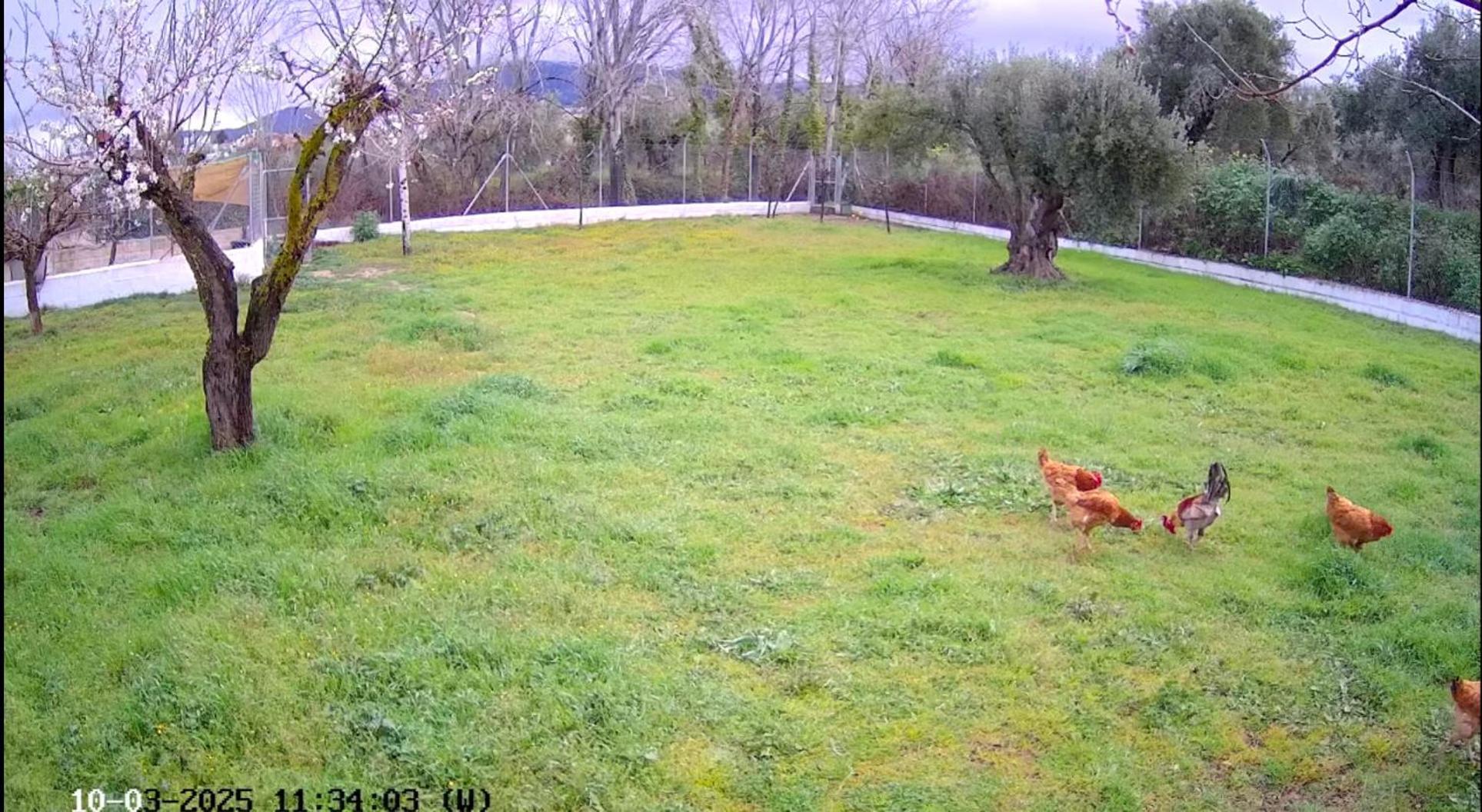 Casa De Campo Los Manueles Ideal Perros Pet Friendly Gójar Kültér fotó